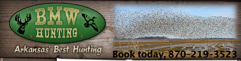 arkansas duck hunting prices